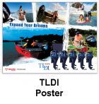 TLDI Poster